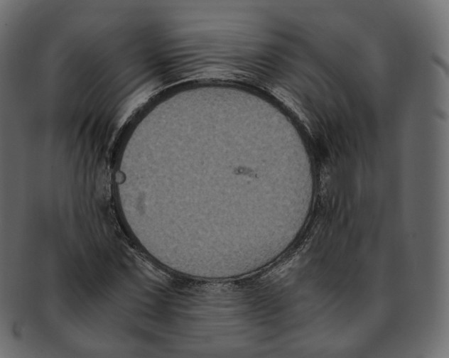 X0000091941067200710031113