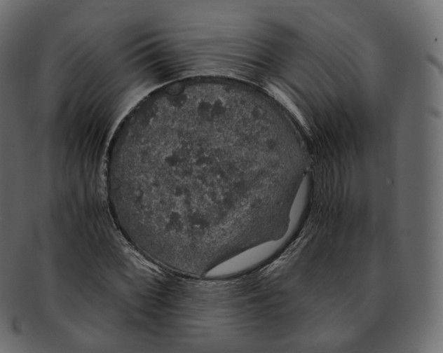 X0000091941068200710031113