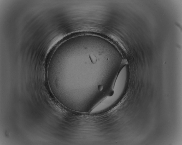 X0000091941069200710031113