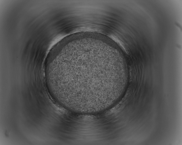 X0000091941070200710031113