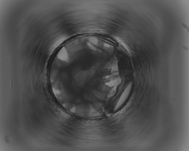 X0000091941071200710031113