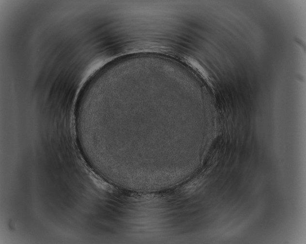 X0000091941072200710031113