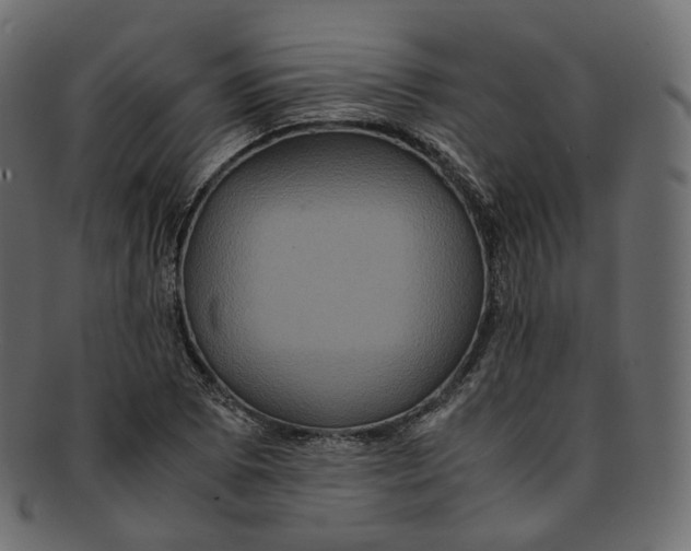 X0000091941073200710031113