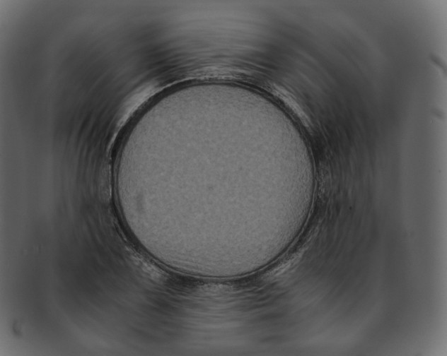 X0000091941075200710031113