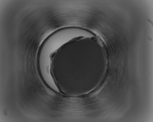 X0000091941077200710031113