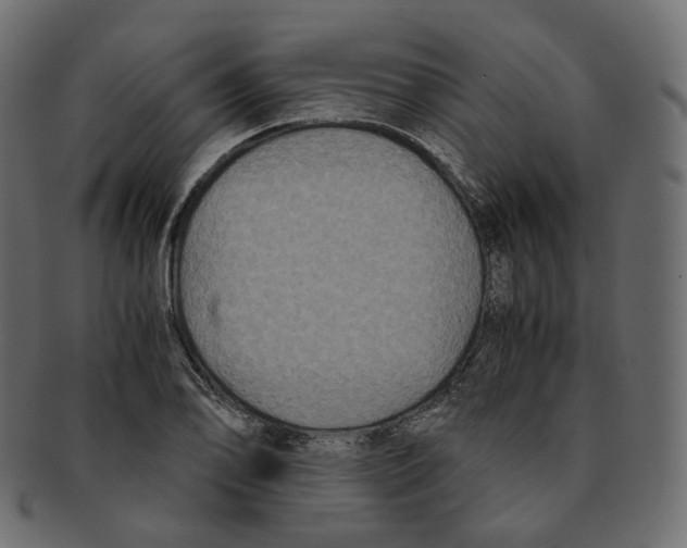 X0000091941078200710031113