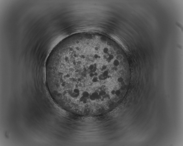 X0000091941079200710031113