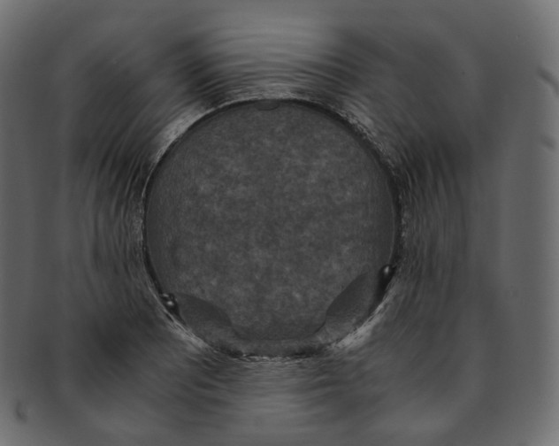 X0000091941081200710031113