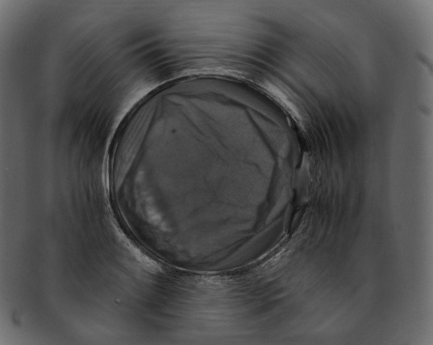 X0000091941084200710031113