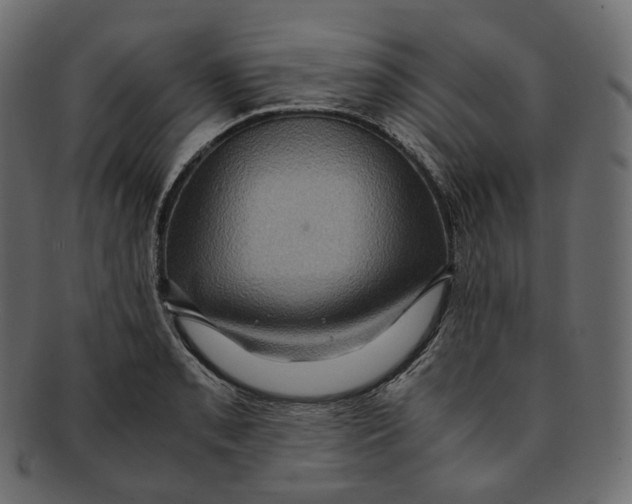 X0000091941085200710031113