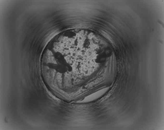 X0000091941087200710031113