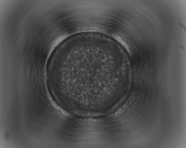 X0000091941088200710031113