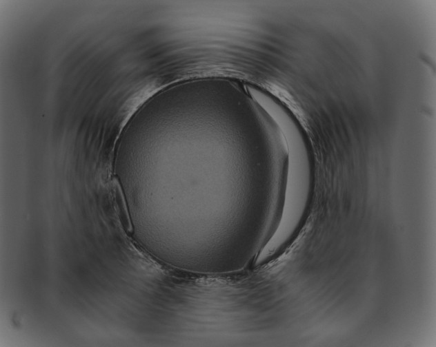 X0000091941089200710031113