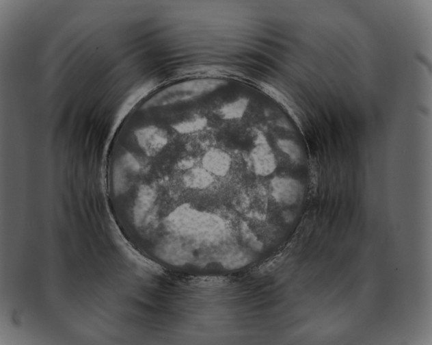 X0000091941090200710031113