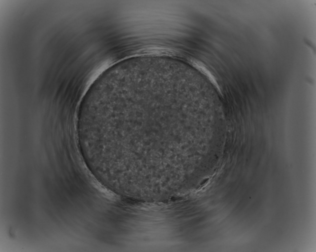 X0000091941091200710031113