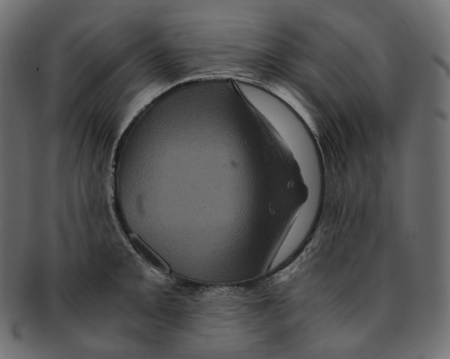 X0000091941093200710031113