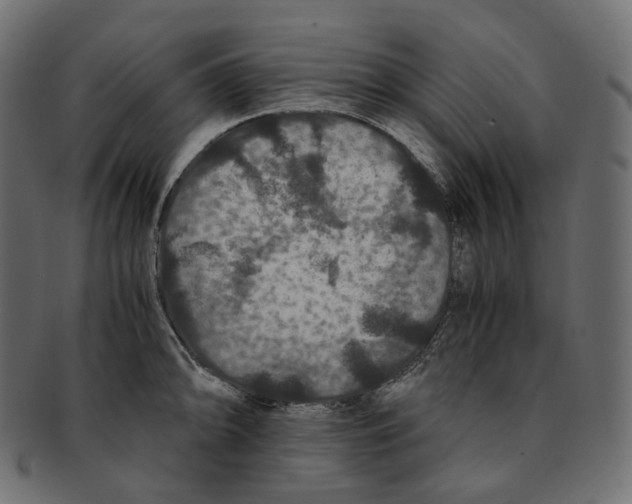 X0000091941094200710031113