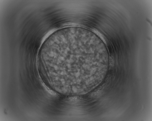 X0000091941098200710031113