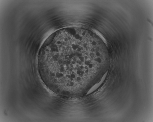 X0000091941099200710031113