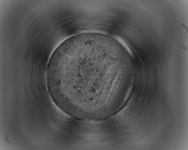 X0000091941100200710031113