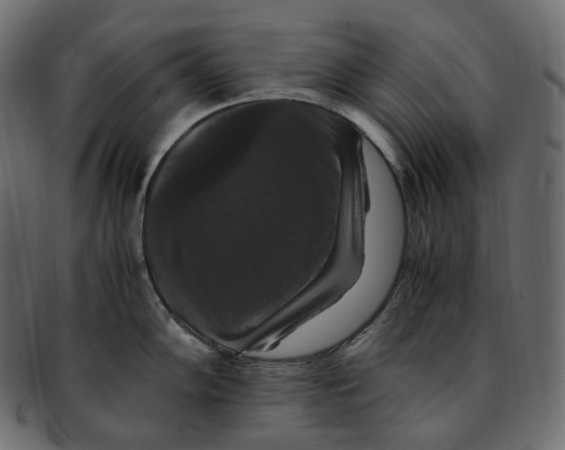 X0000091941102200710031113