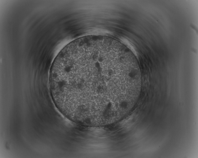 X0000091941103200710031113