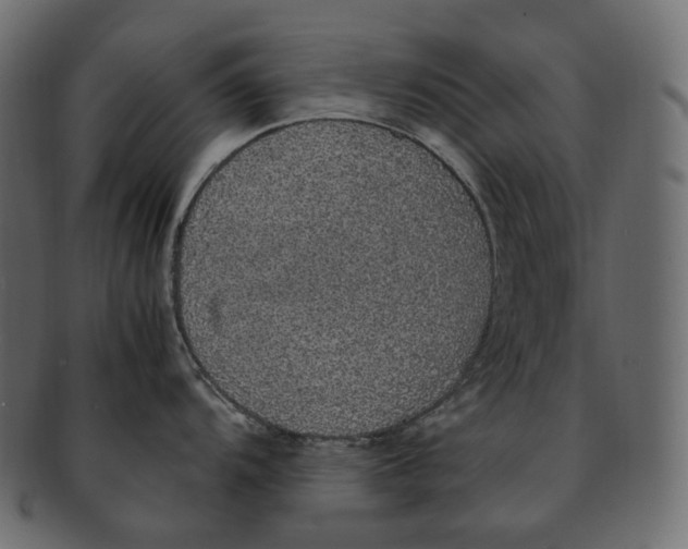 X0000091941104200710031113