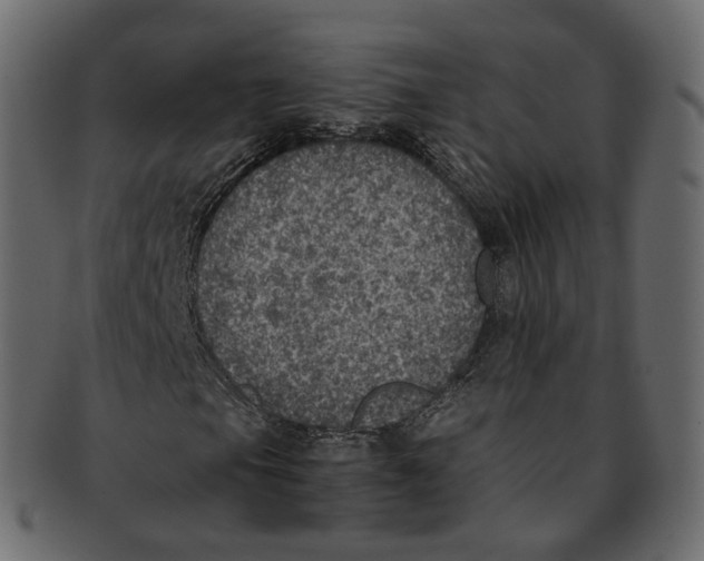 X0000091941105200710031112