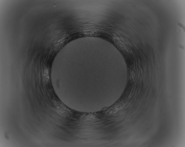 X0000091941106200710031112