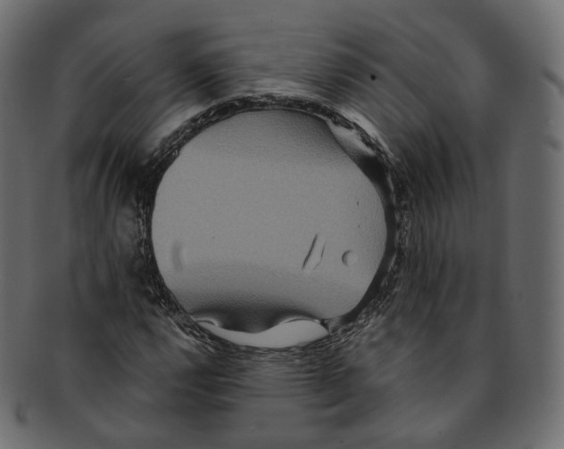 X0000091941112200710031112