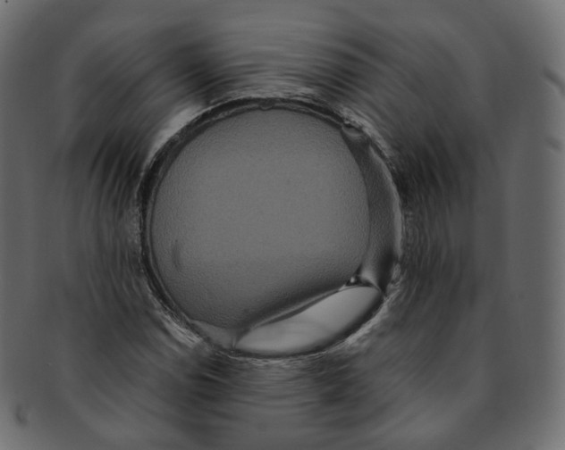 X0000091941114200710031112