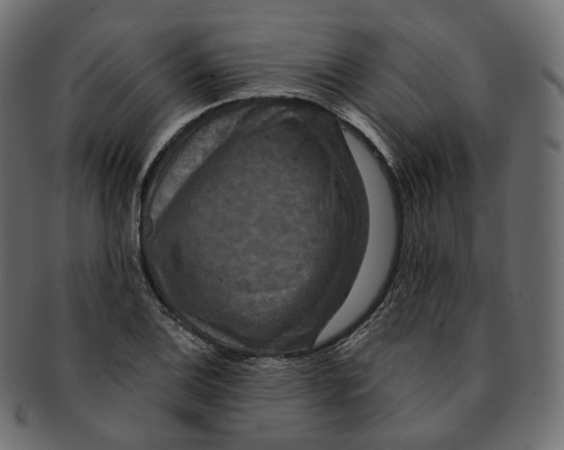 X0000091941124200710031113