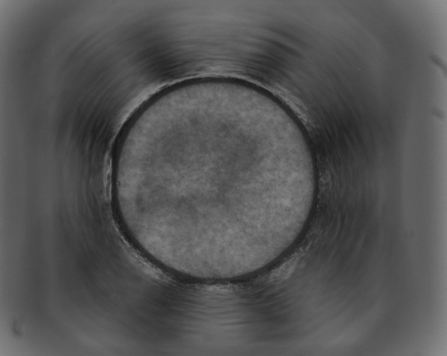 X0000091941126200710031113