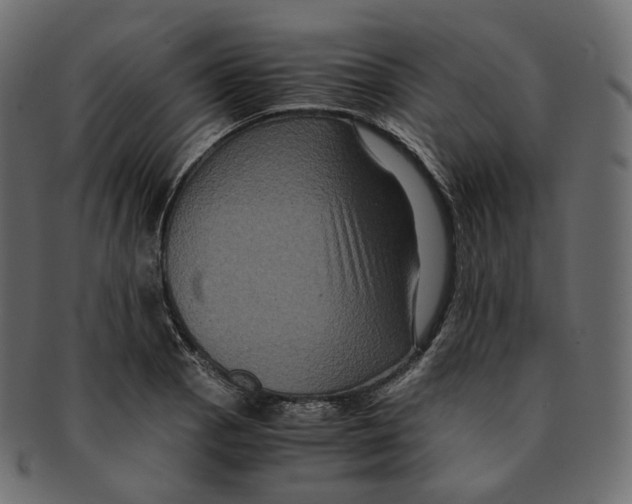 X0000091941129200710031113