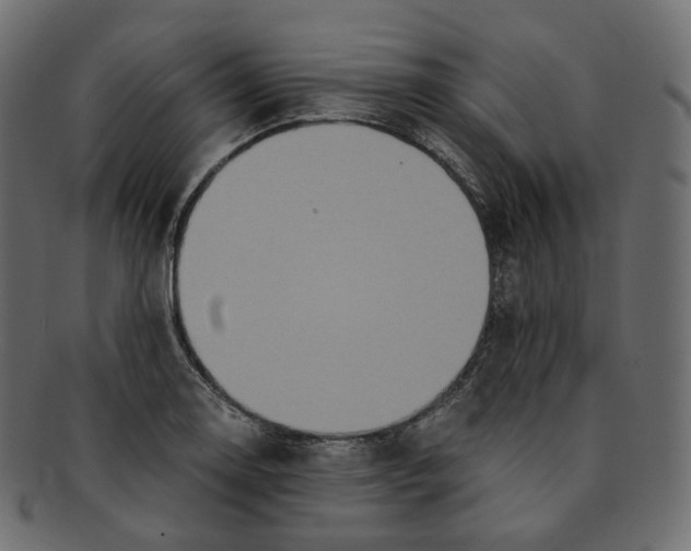 X0000091941130200710031113