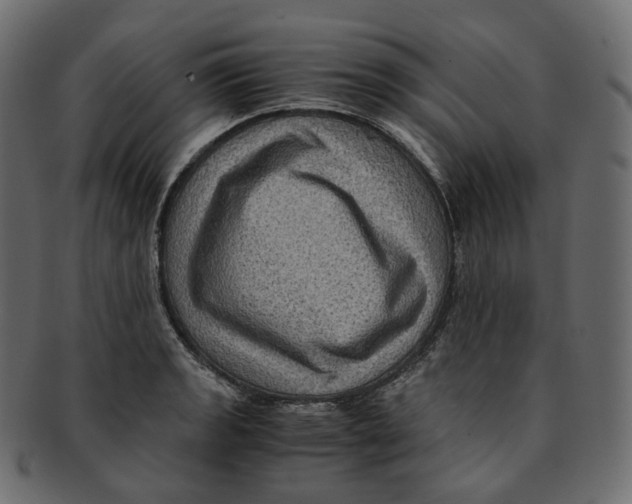 X0000091941133200710031113