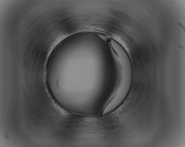 X0000091941136200710031113