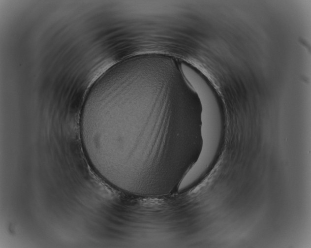 X0000091941137200710031113