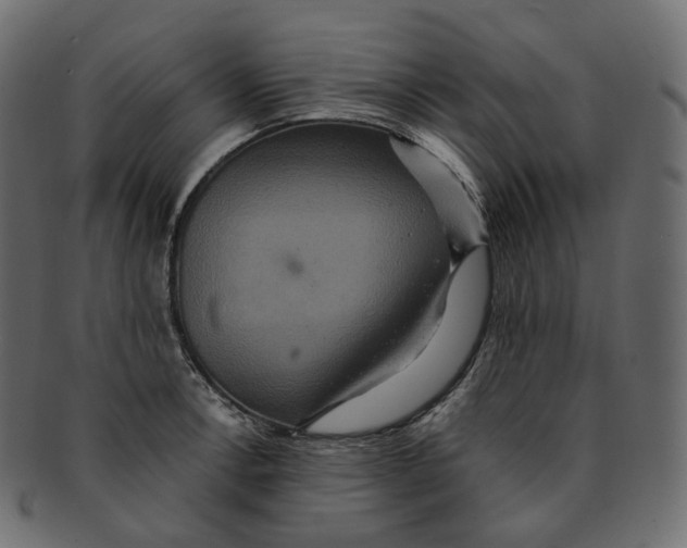 X0000091941138200710031113