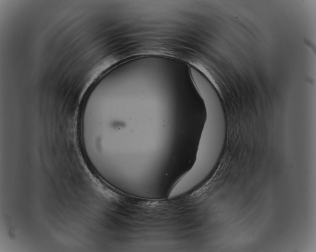 X0000091941139200710031113