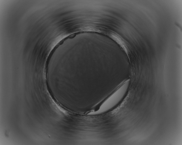 X0000091941141200710031113