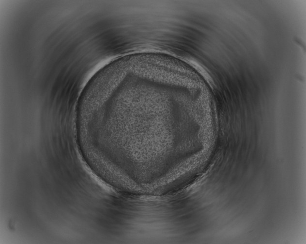 X0000091941142200710031113