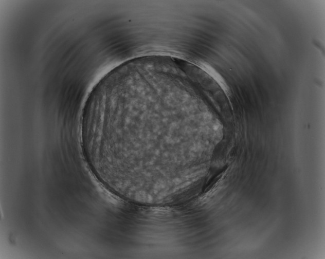 X0000091941144200710031113