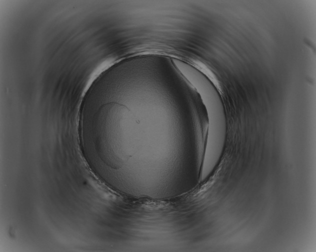 X0000091941146200710031113