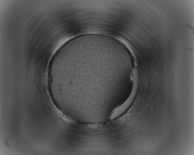 X0000091941147200710031113