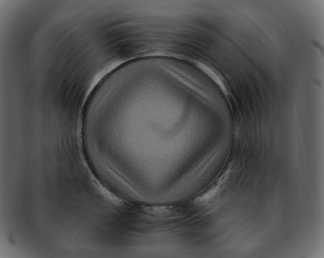 X0000091941149200710031113