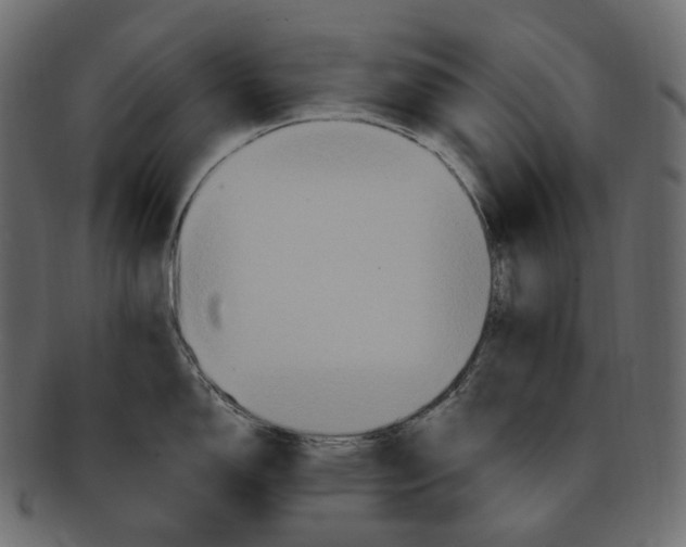 X0000091941150200710031113