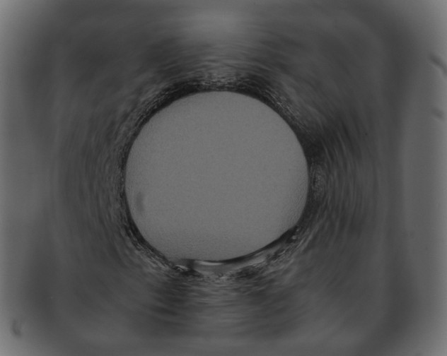 X0000091941153200710031112