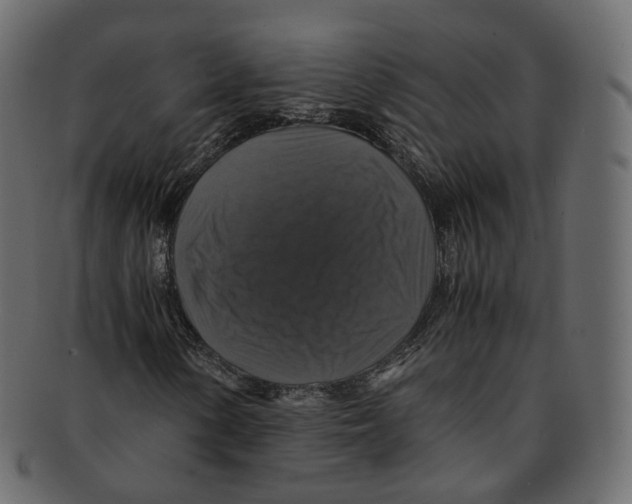 X0000091941154200710031112