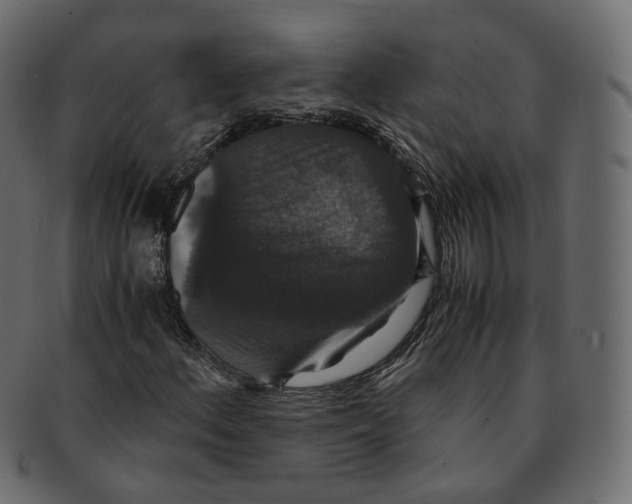 X0000091941156200710031112